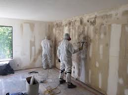 Best Asbestos and Lead Testing During Mold Inspection  in Alexandria, IN